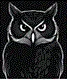 Black and white drawing of a perched owl, seen from the front