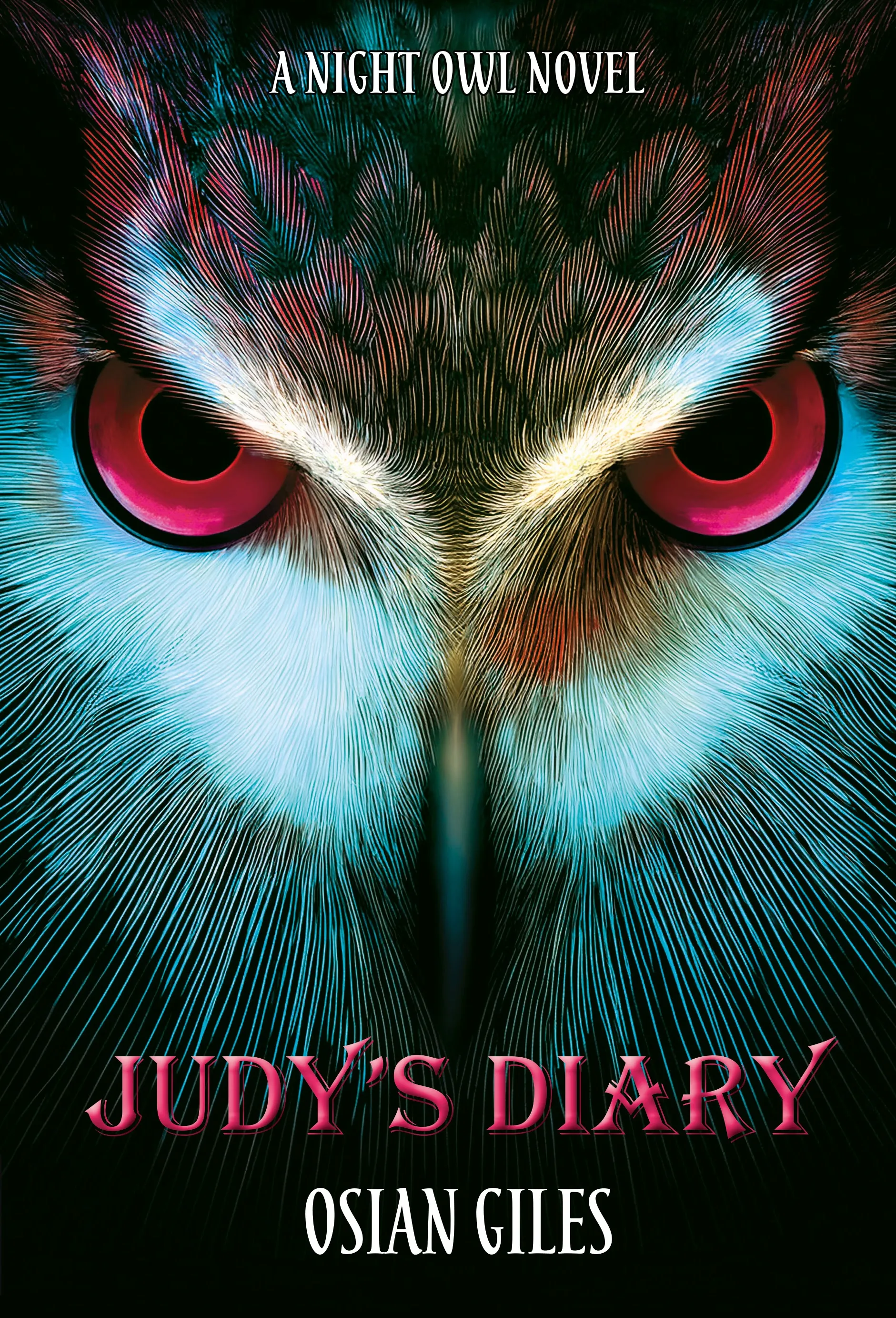 Judy's Diary